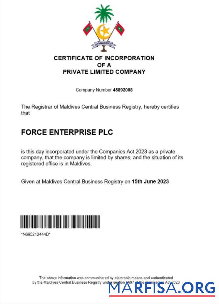 Blank Maldives business registration certificate Word and PDF template